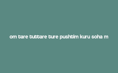 om tare tuttare ture pushtim kuru soha meaning,Om tare tuttare ture pushtim kuru soha: Unveiling the Mystical Power of This Ancient Mantra