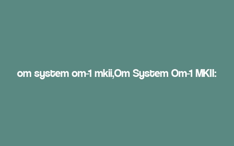 om system om-1 mkii,Om System Om-1 MKII: A Comprehensive Overview