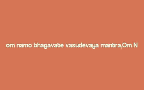 om namo bhagavate vasudevaya mantra,Om Namo Bhagavate Vasudevaya: A Deep Dive into the Significance and Practice