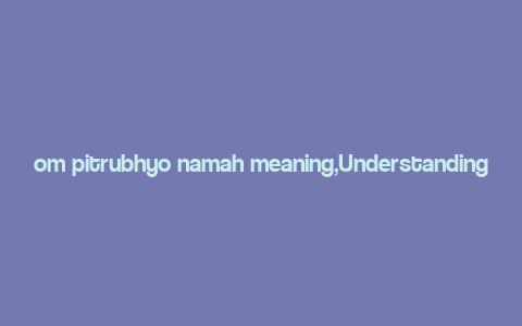 om pitrubhyo namah meaning,Understanding the Meaning