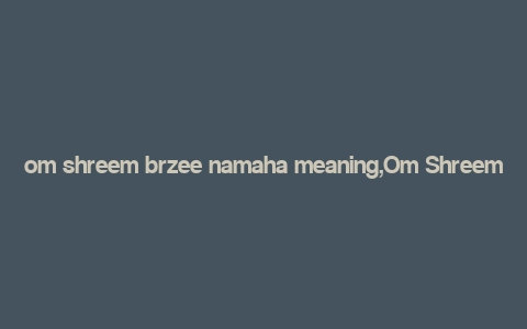 om shreem brzee namaha meaning,Om Shreem Brzee Namaha: A Deep Dive into Its Meaning and Significance