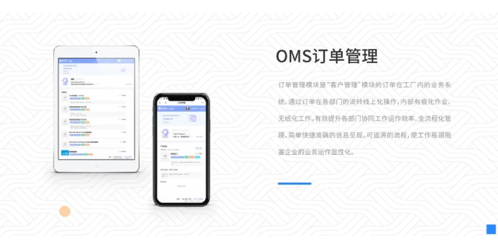 oms china,Understanding OMS China: A Comprehensive Overview