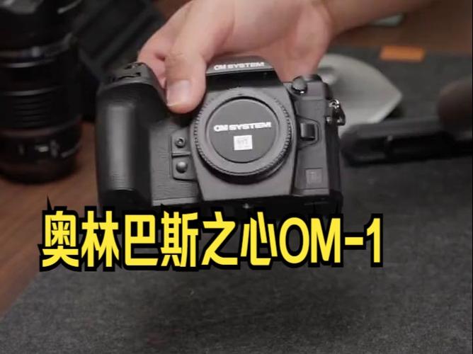 omd om 1 mark ii,OMD OM 1 Mark II: A Comprehensive Overview