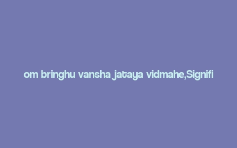 om bringhu vansha jataya vidmahe,Significance of Hindu Genealogy