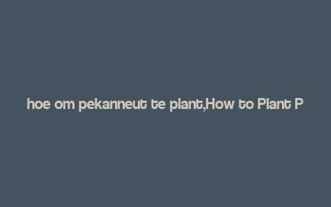 hoe om pekanneut te plant,How to Plant Pecan Trees: A Detailed Guide