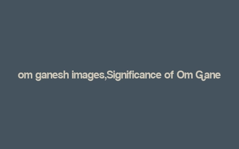 om ganesh images,Significance of Om Ganesh Images