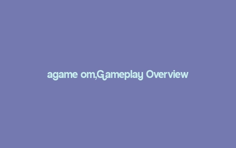 agame om,Gameplay Overview