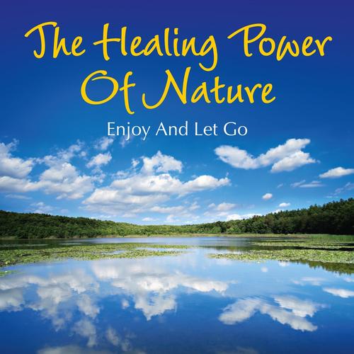 healing amazing mind power om,Unlocking the Power Within: A Detailed Guide to Healing Amazing Mind Power Om